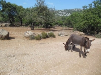 avventura base santa maria-mariolu (24)