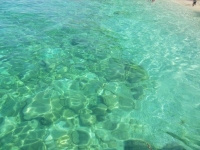 avventura base santa maria-mariolu (48)