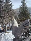 IMG_20190209_100517