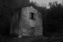 DSCN3846