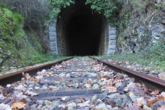 DSCN3851