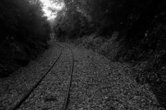 DSCN3868