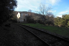 DSCN3869