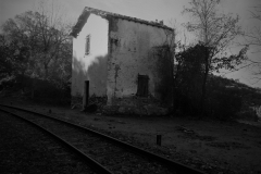 DSCN3870